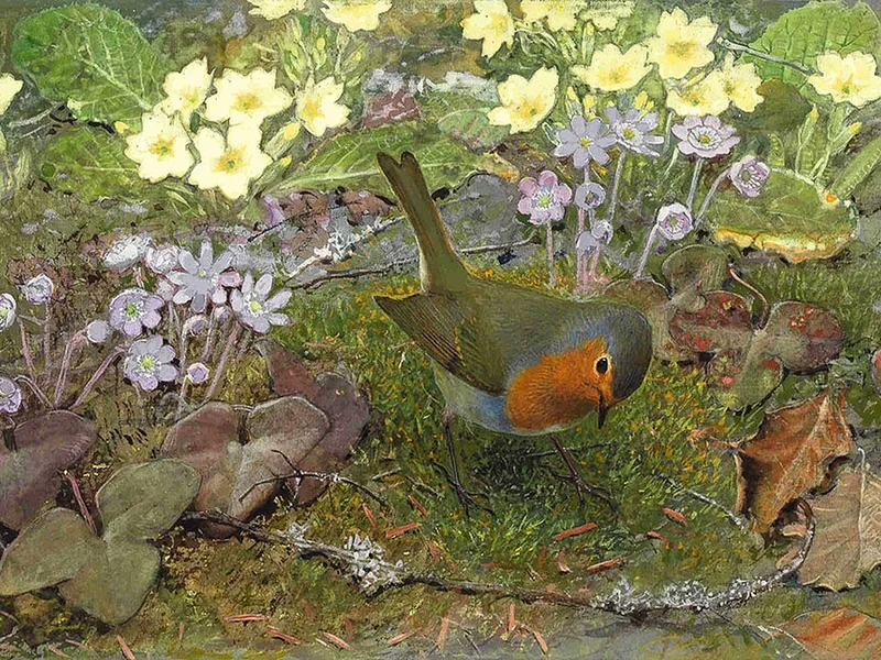 1851-Léo-Paul Samuel Robert - Erithacus rubecula (pettirosso)